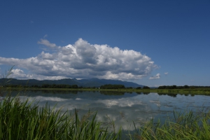 s_DSC_2961