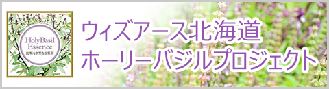 新しいホームページができました！